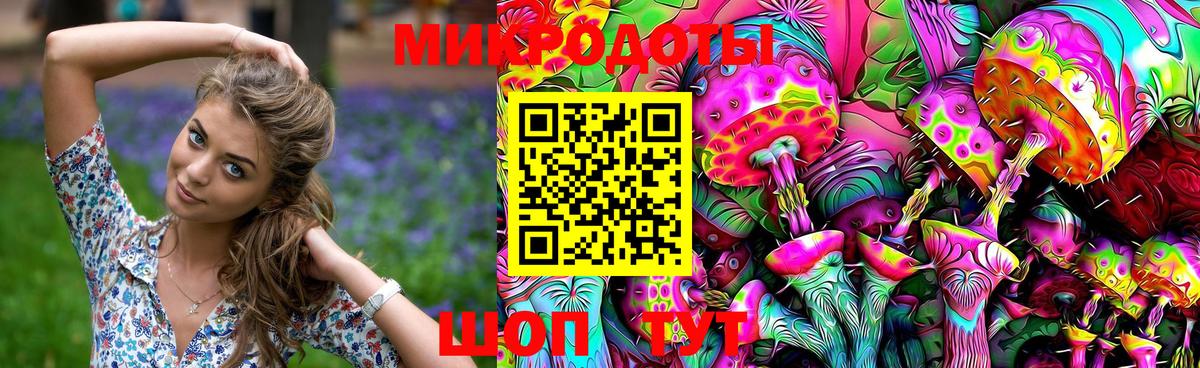 Галлюциногенные грибы Psilocybine cubensis Южноуральск